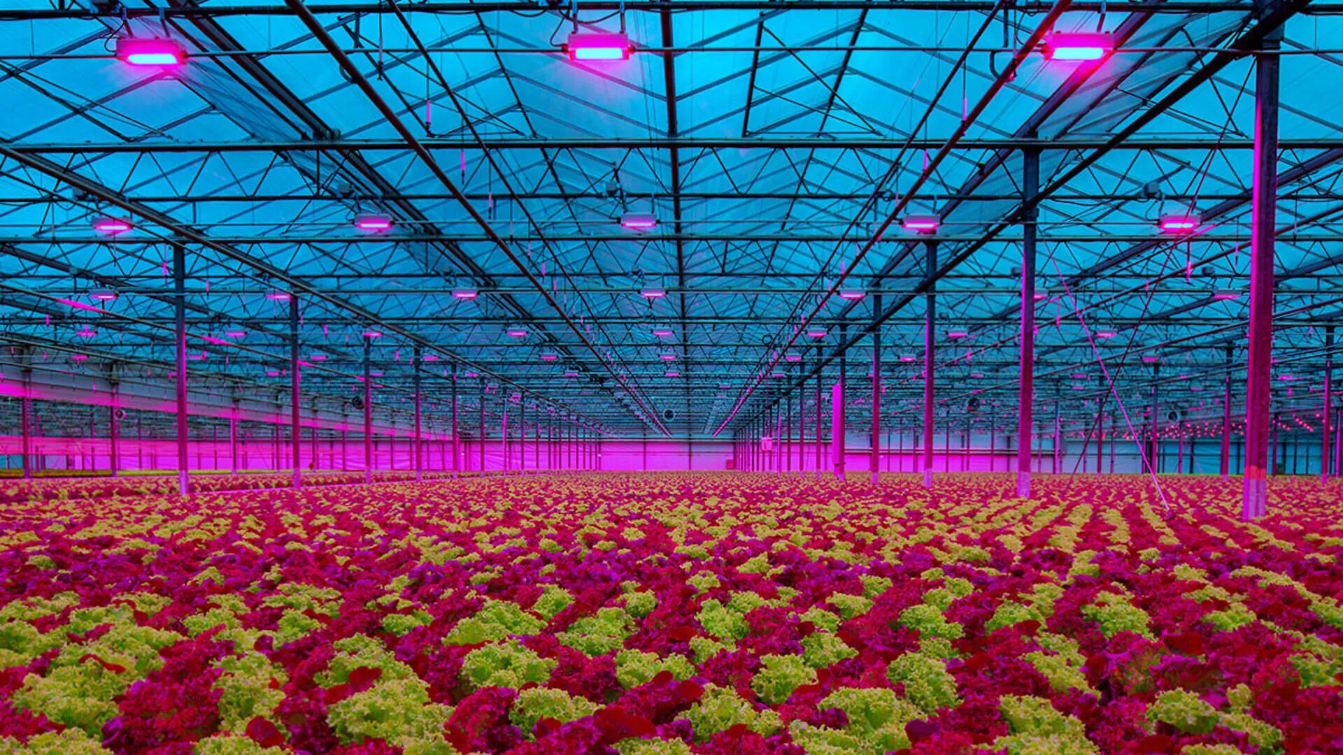 Revolutionizing Modern Agriculture with Cutting-Edge Grow Light Technology