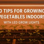 10 Tips for Growing Vegetables Indoors with LED Grow Lights NZ Guide