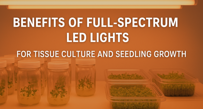 Benefits of Full-Spectrum LED Lights for Tissue Culture and Seedling Growth 1 Benefits of Full-Spectrum LED Lights for Tissue Culture and Seedling Growth