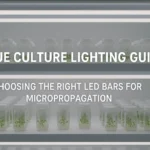 Tissue Culture Lighting Guide Choosing the Right LED Bars for Micropropagation